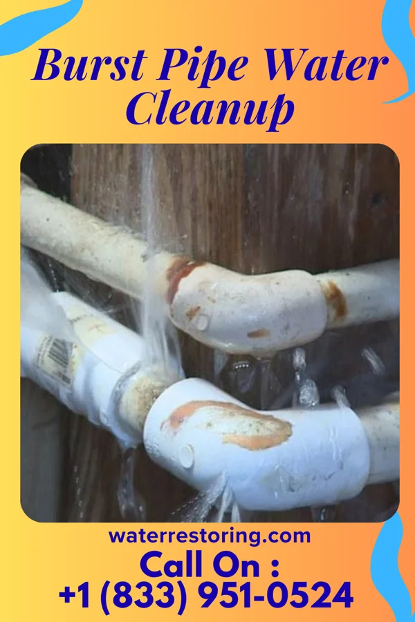 Burst Pipe Water Cleanup in Foster, IN