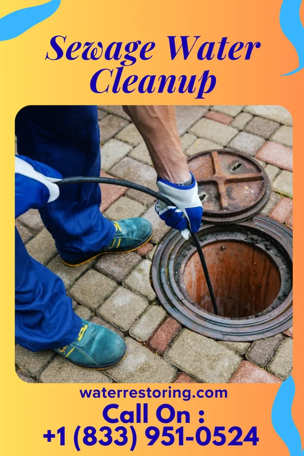 Sewage Water Cleanup in Foster, IN